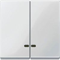 Лицевая панель Schneider Electric Merten System M для 2-кл. выключателя с подсветкой полярно белый картинка